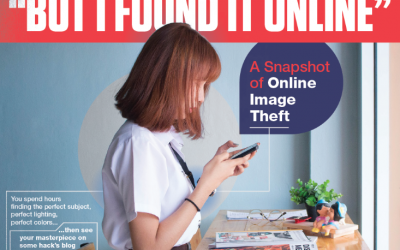 A Snapshot Of Online Image Theft