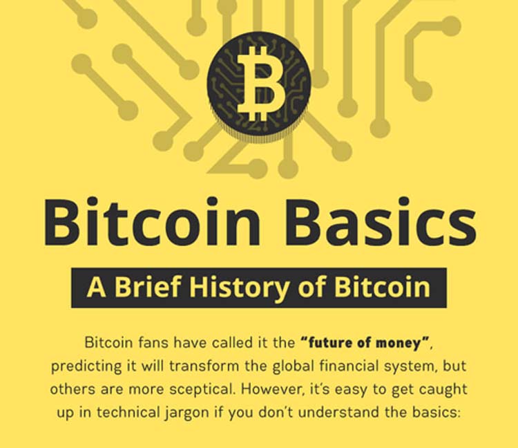 A Brief History Of Bitcoin Infographic 