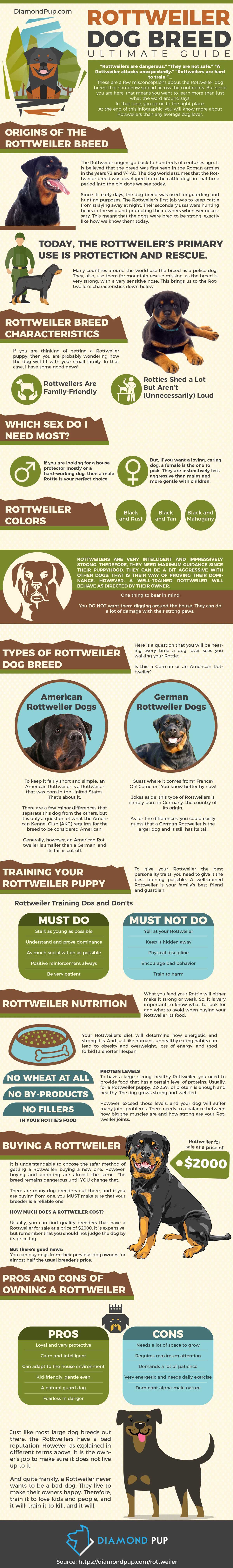 Rottweiler Dog Breed Ultimate Guide