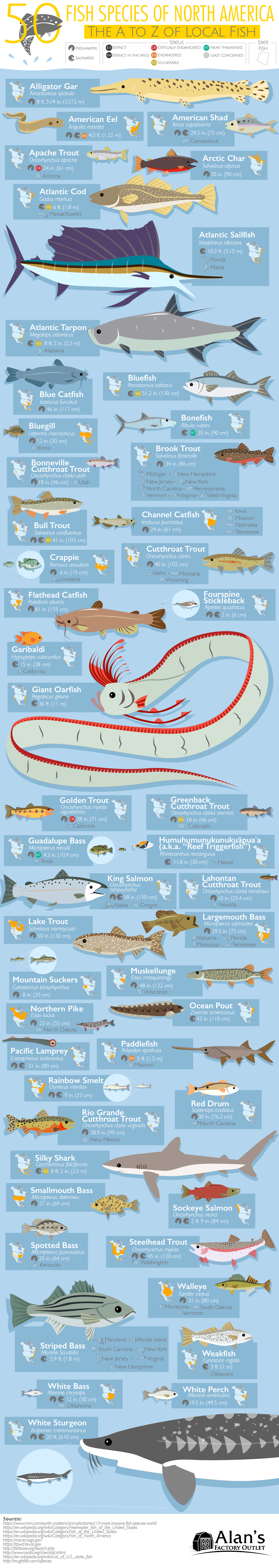 50 Fish Species of North America - The A to Z of Local Fish