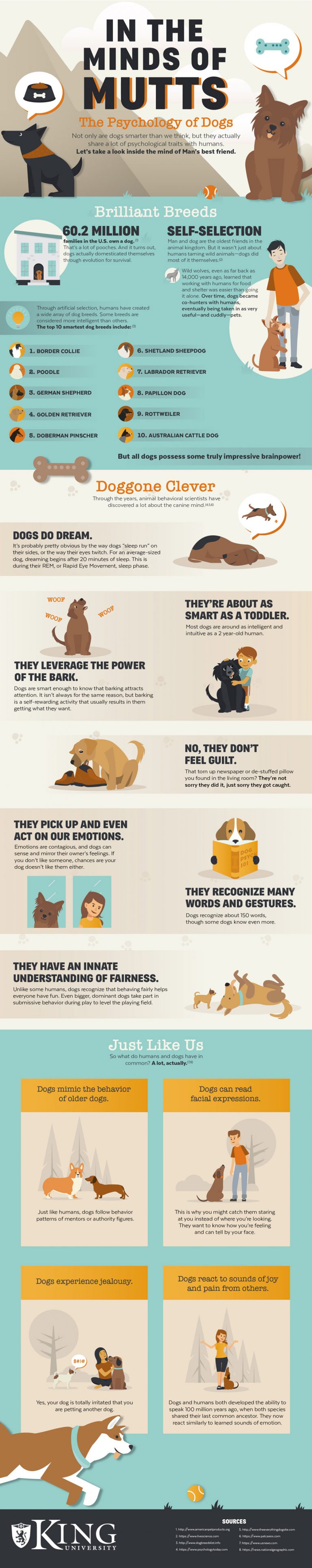 Dog Psychology: In the Minds of Mutts [Infographic]