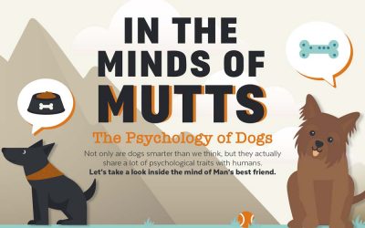 Dog Psychology: In the Minds of Mutts