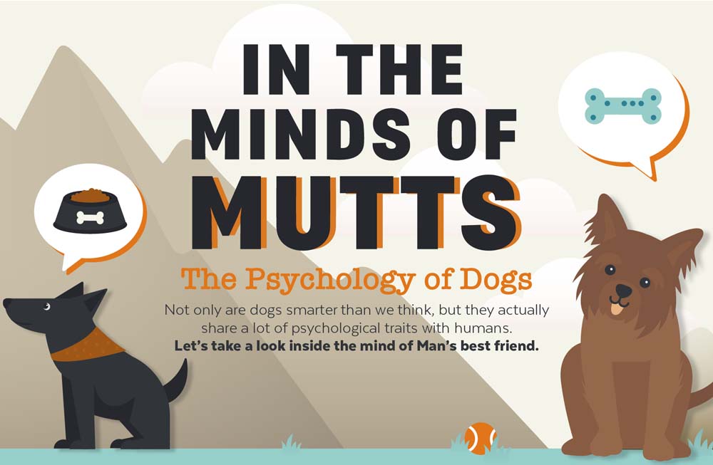 Dog Psychology In the Minds of Mutts [Infographic]