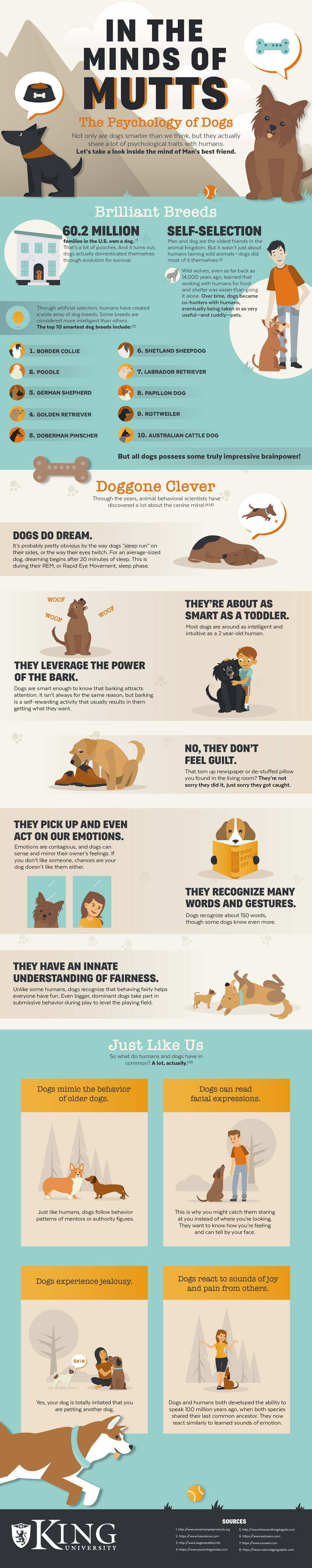 Dog Psychology: In the Minds of Mutts