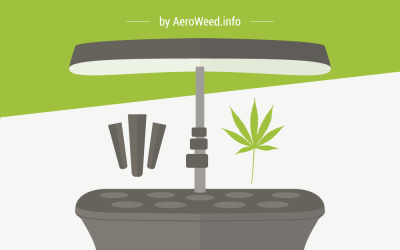 How to Grow Weed in Your AeroGarden