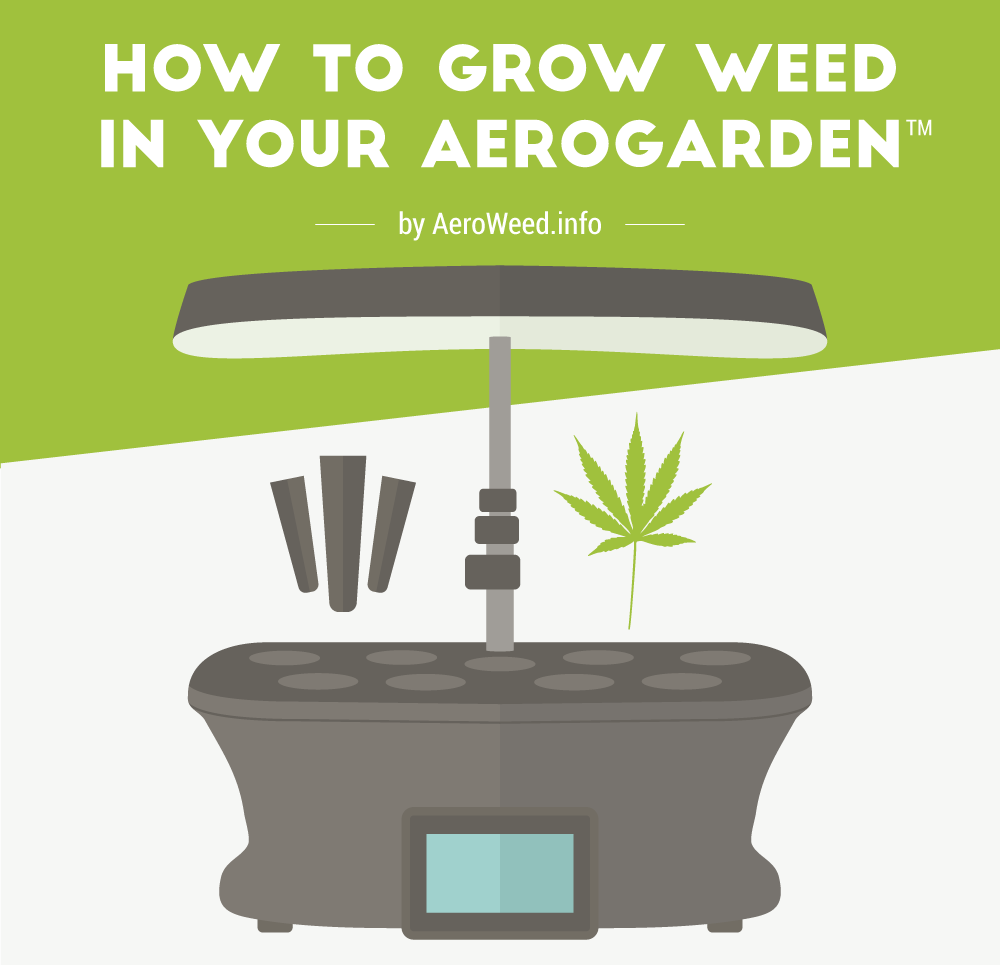 How to Grow Weed in Your AeroGarden [Infographic]