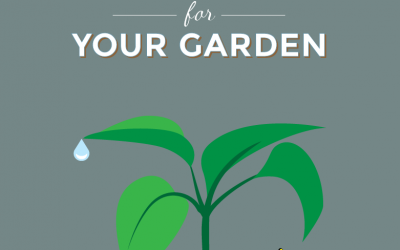 Water Saving Tips for Your Garden