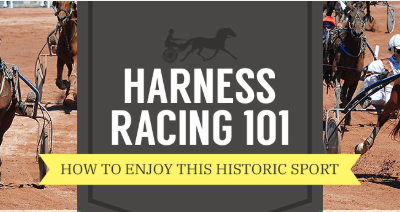 Harness Racing 101