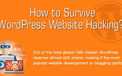 How to Survive WordPress Website Hacking