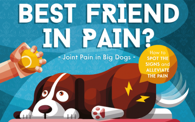 Is Your Best Friend In Pain?