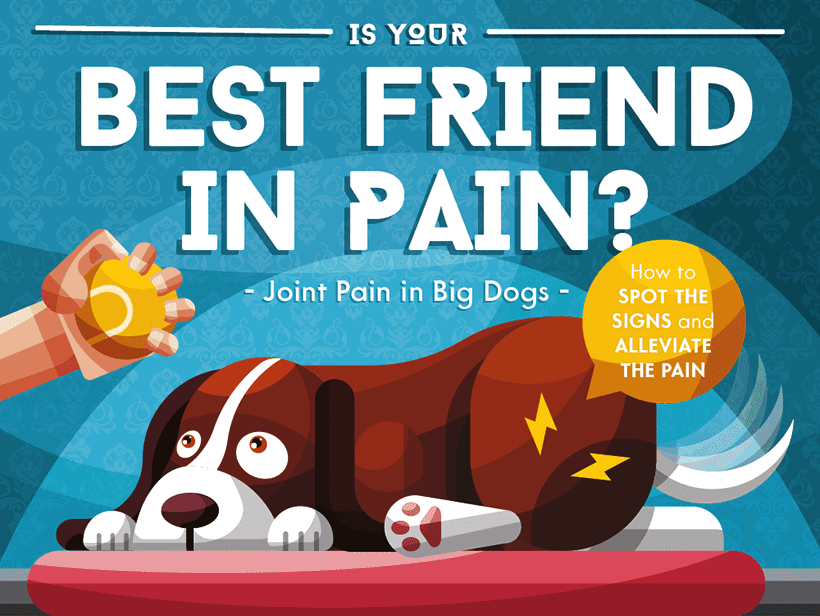 pain equals best friend