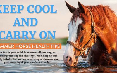 Keep Cool and Carry On: Summer Horse Health Tips