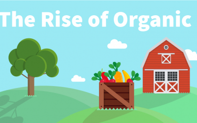 The Rise of Organic