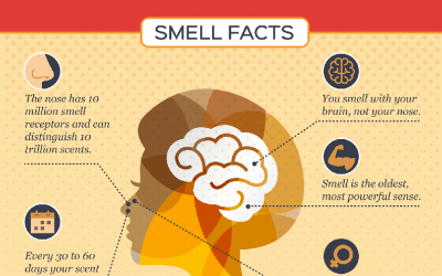 The Power of Scent: Smell Facts