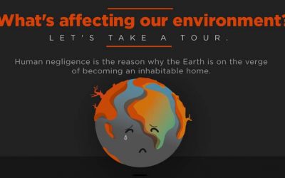 What’s Affecting Our Environment?
