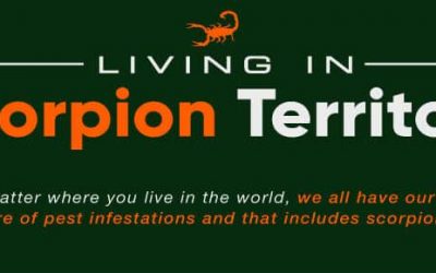 Living in Scorpion Territory