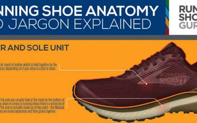 Anatomy of a Running Shoe