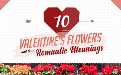 10 Valentine’s Flowers and Their Romantic Meanings