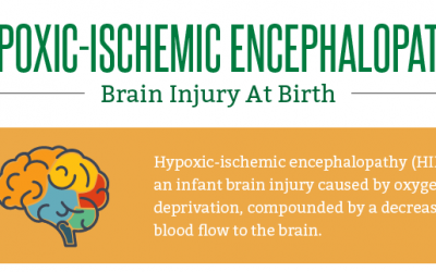 Hypoxic-ischemic Encephalopathy: Brain Injury at Birth