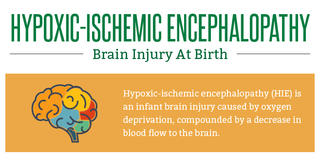 Hypoxic-ischemic Encephalopathy: Brain Injury at Birth [Infographic]