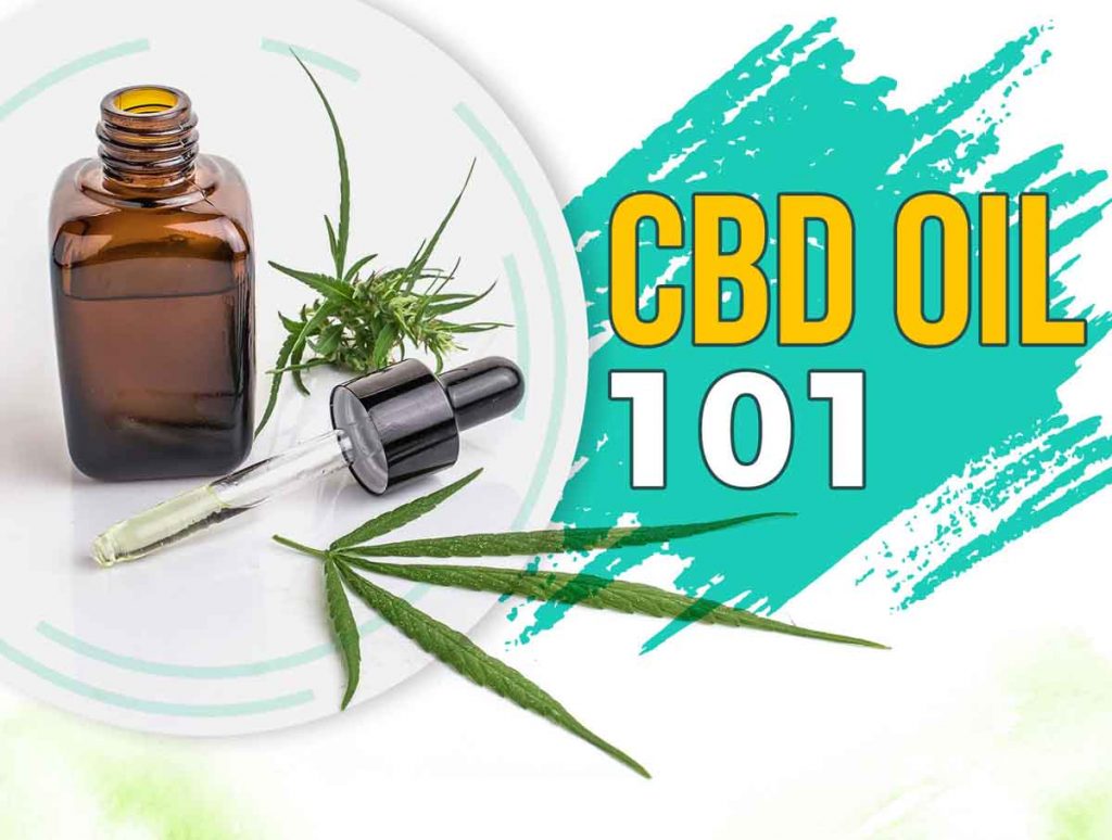 Understanding CBD Oil 101 [Infographic]