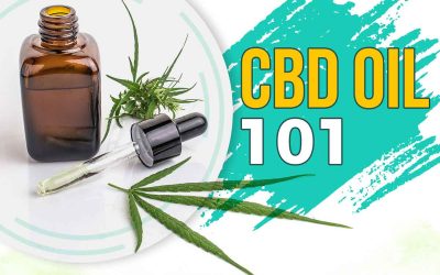 Understanding CBD Oil 101