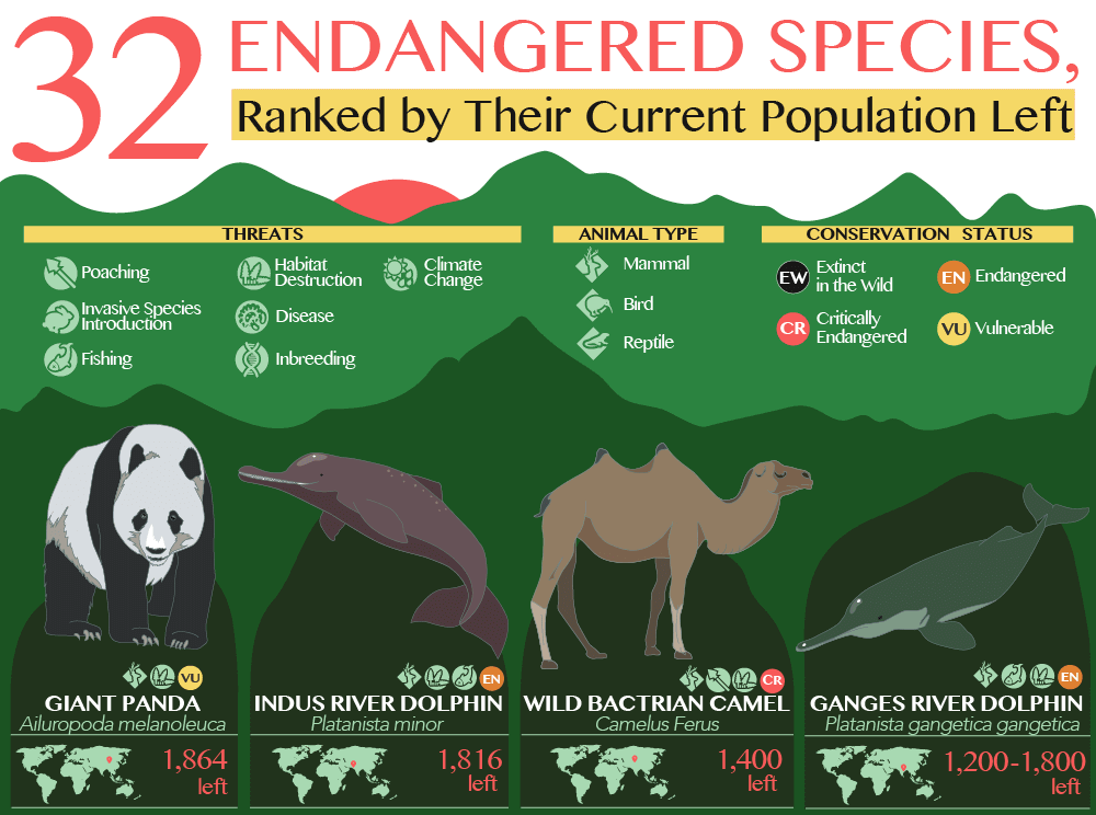 32 Endangered Species Ranked By Populaton Left Feat 