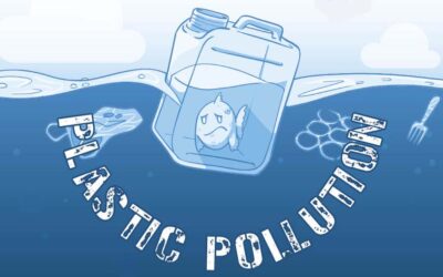 The Problem of Plastic Pollution