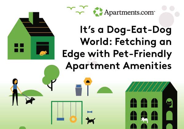 Fetching an Edge With Pet-Friendly Apartment Amenities