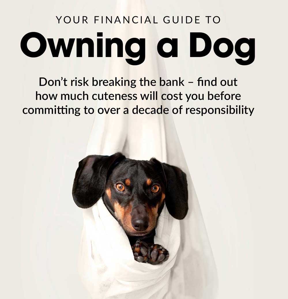 A Financial Guide to Owning a Dog