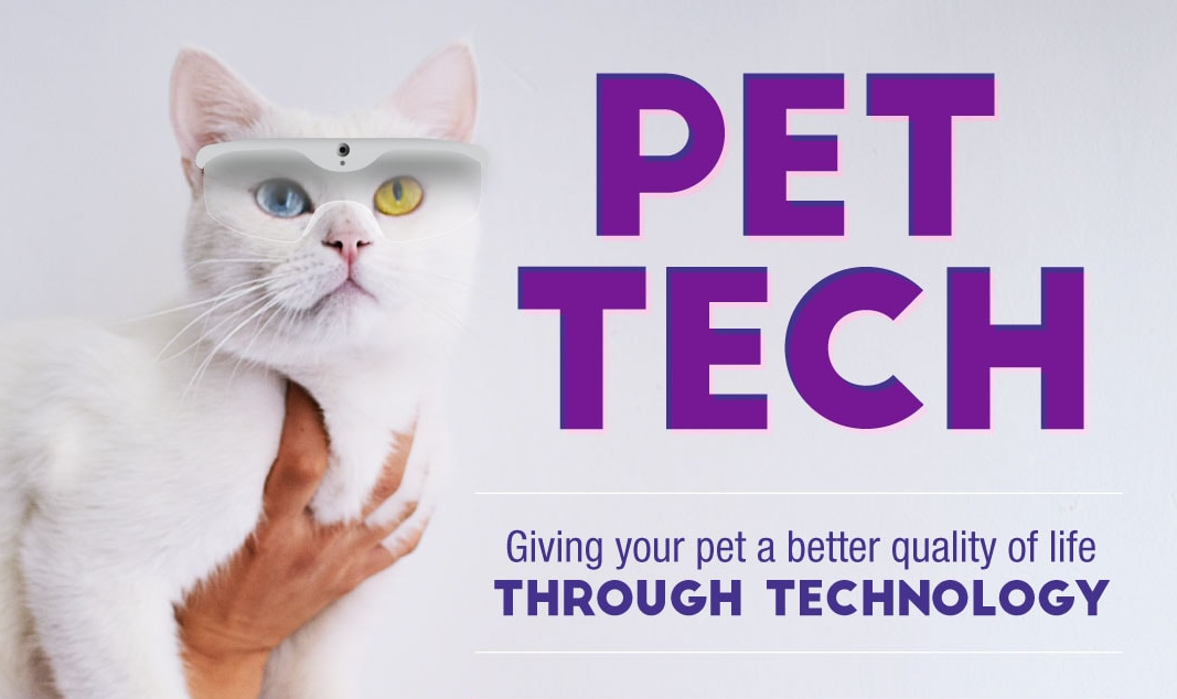 Pet Tech: Giving Your Pet A Better Quality Of Life Through Technology