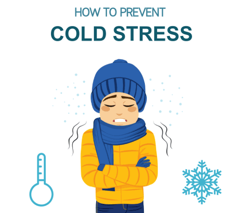 The Dangers of Cold Stress