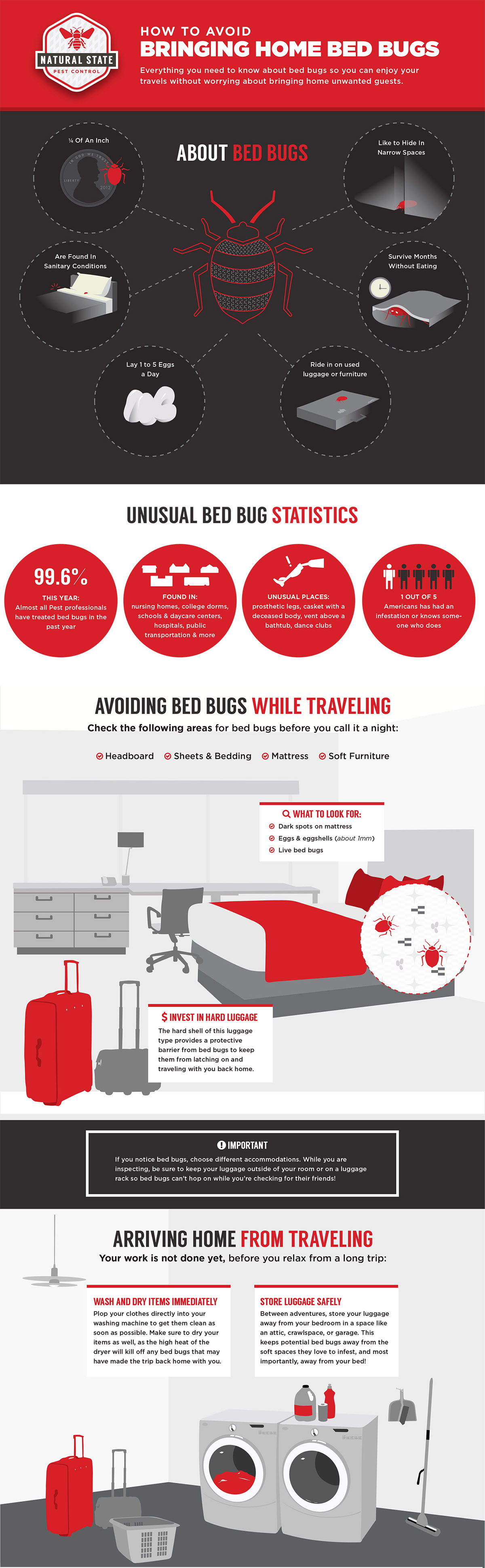 How to Avoid Bringing Home Bed Bugs While Traveling