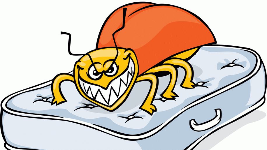 How to Avoid Bringing Home Bed Bugs While Traveling