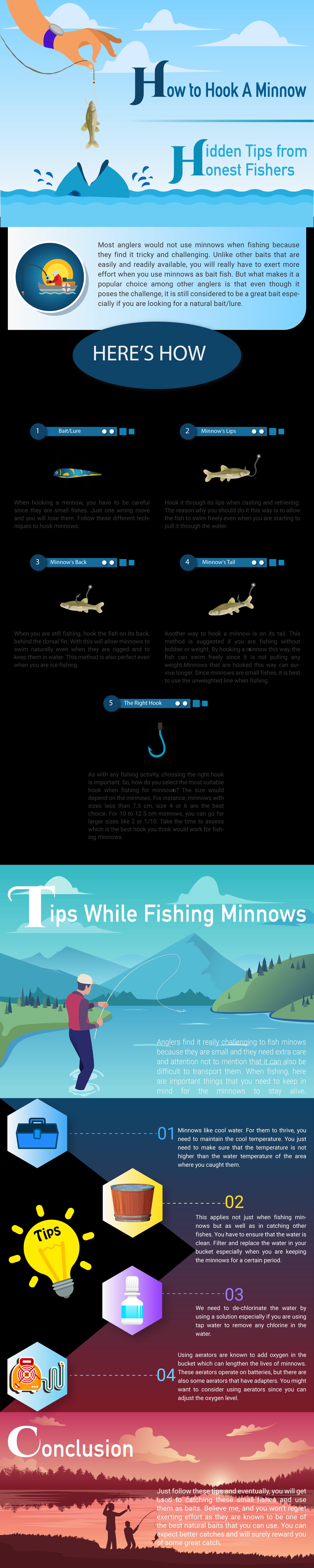 How To Hook A Minnow