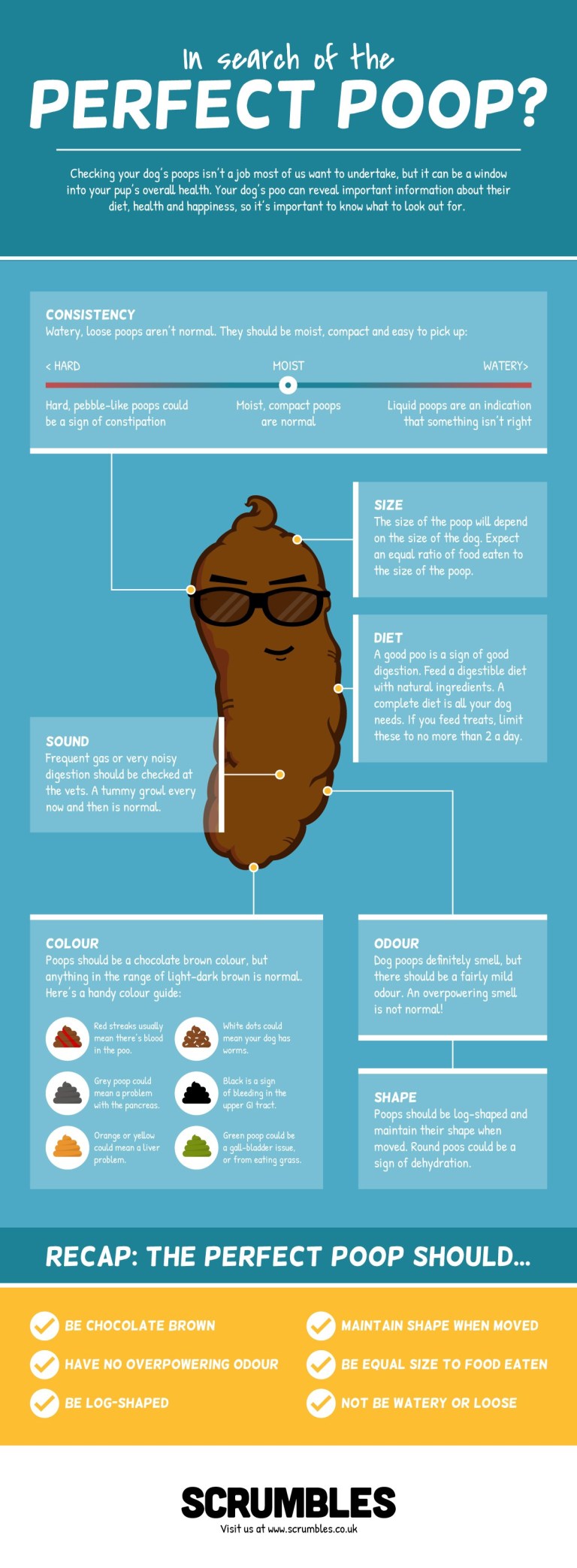 In Search of the Perfect Poop [Infographic]