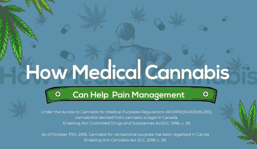 How Medical Cannabis Can Help Pain Management