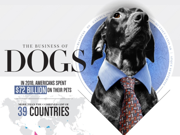 The Business Of Dogs