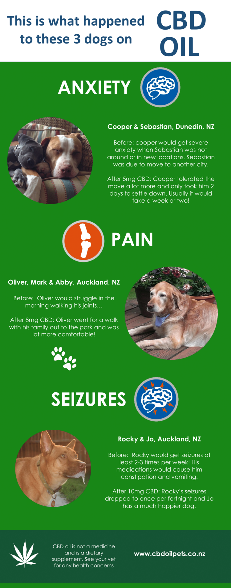 What CBD Oil Did For 3 Dogs