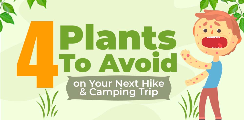 4 Plants to Avoid on Your Next Hike and Camping Trip