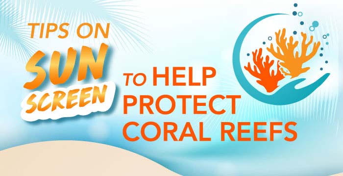Tips on Sun Screen to Help Protect Coral Reefs