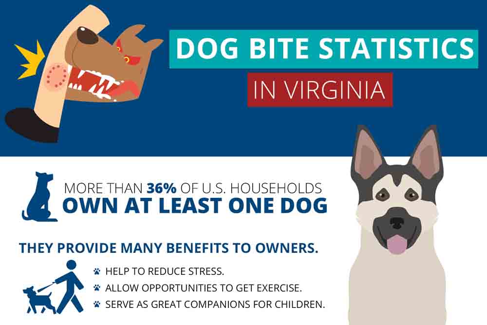 Dog Bite Statistics in Virginia