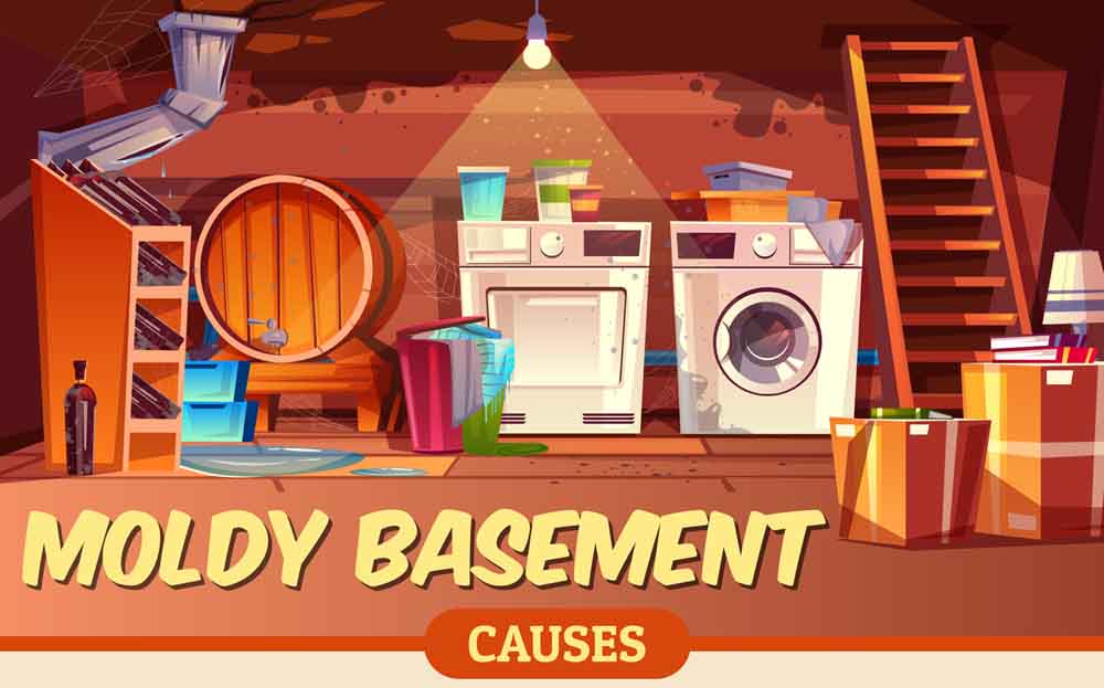 Moldy Basement Causes