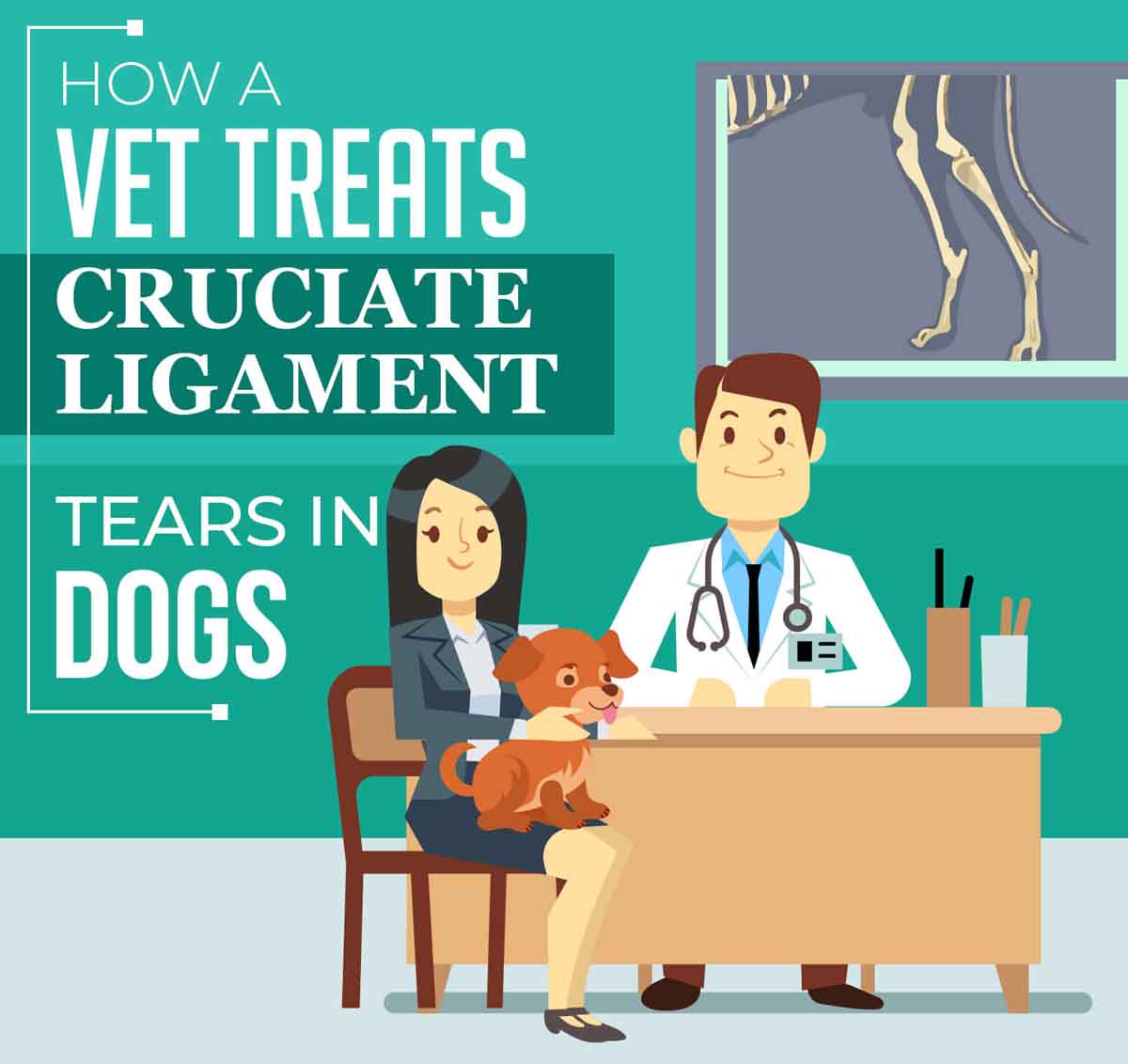 How a Vet Treats Cruciate Ligament Tears in Dogs