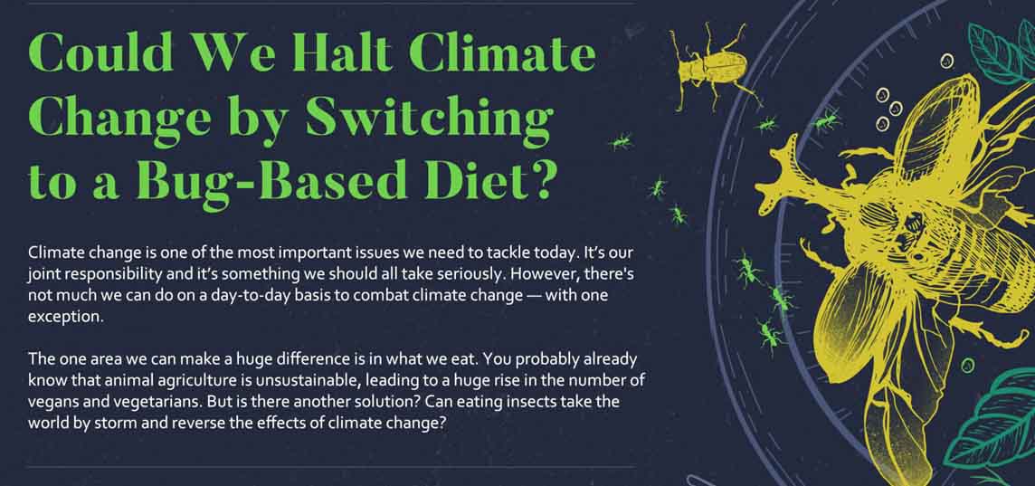 Could We Halt Climate Change by Switching to a Bug-Based Diet?