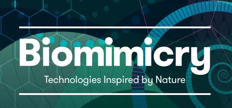 Biomimicry: Technology Inspired by Nature