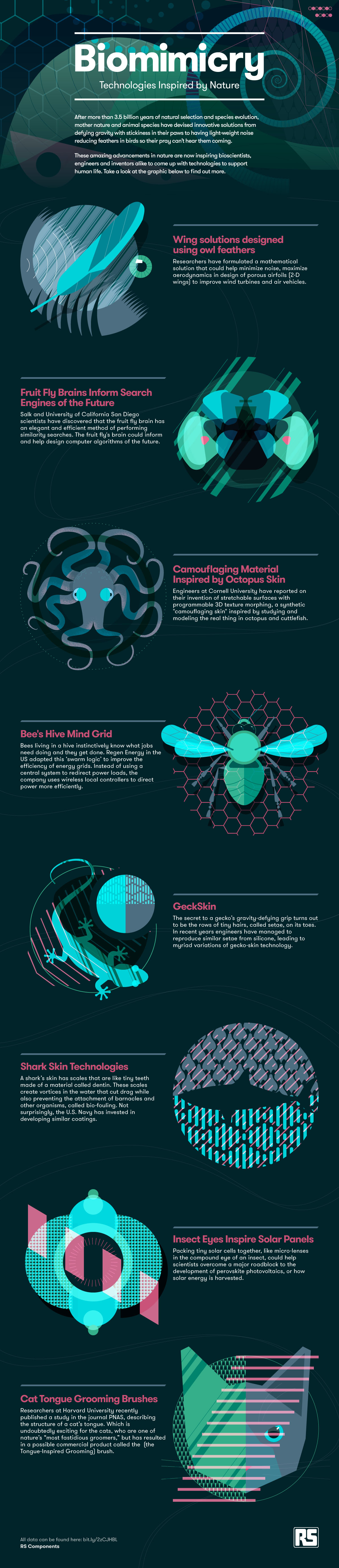 Biomimicry: Technology Inspired by Nature