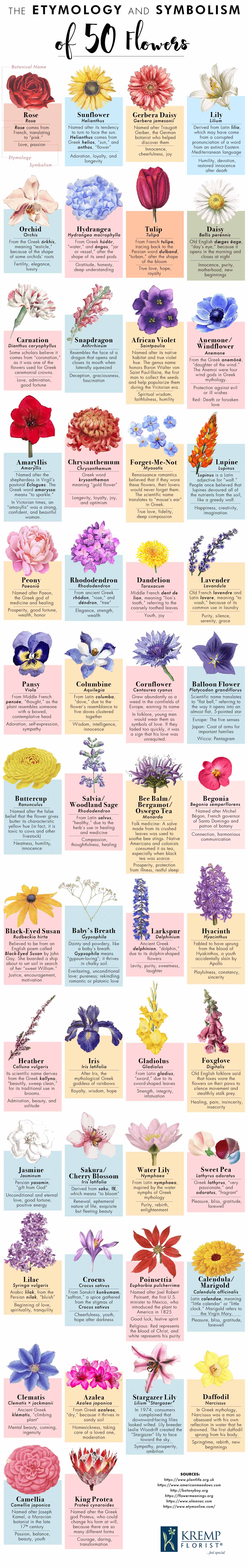 The Etymology And Symbolism Of 50 Flowers Infographic