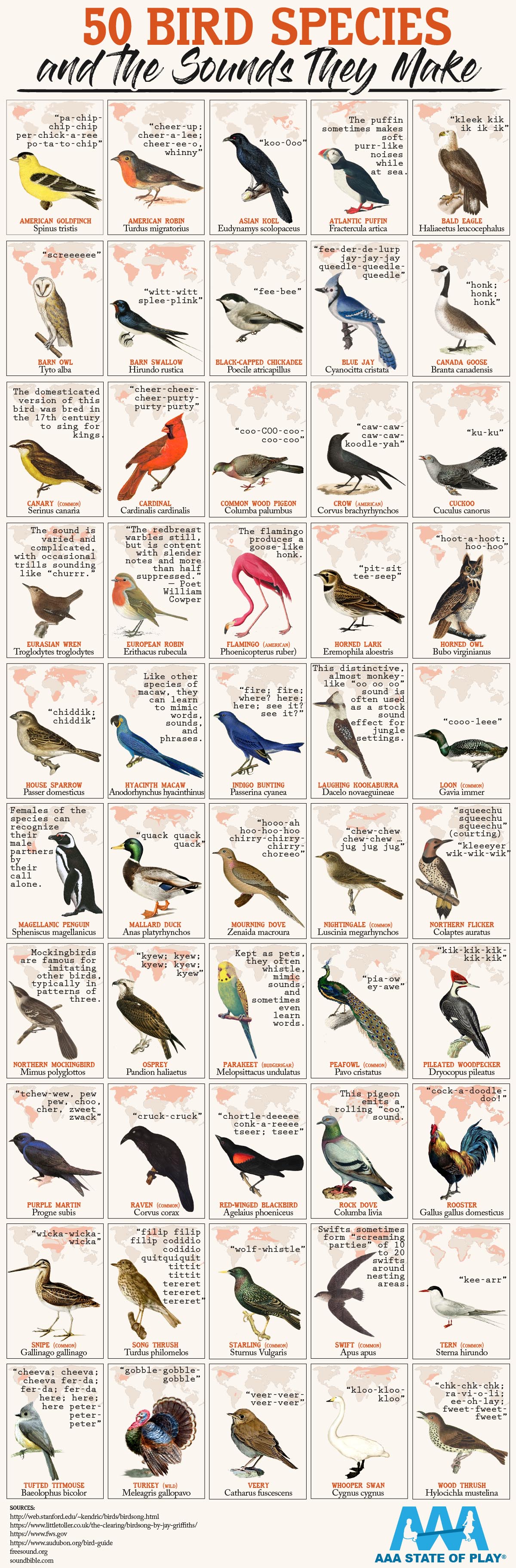 50 Bird Species and the Sounds They Make
