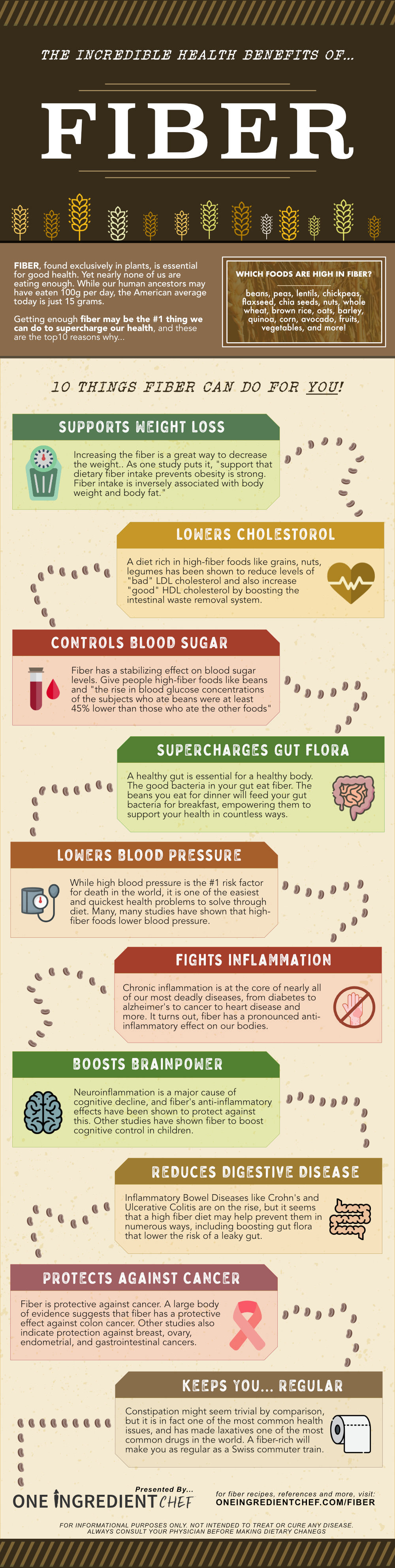 The Benefits Of A High Fiber Diet Infographic 